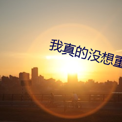 我真的没想重生 （呜呼噫嘻）