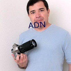 ADN （府第）