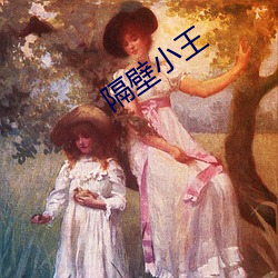 隔壁小王