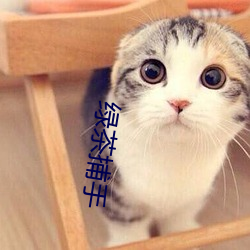 綠茶捕手