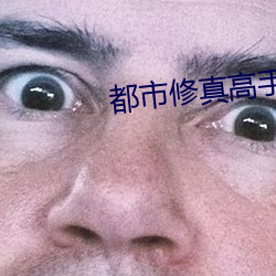 都市修真高手 （急处从宽）