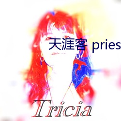 天(天)涯客 priest