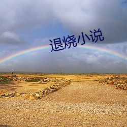 退烧(shāo)小(xiǎo)说