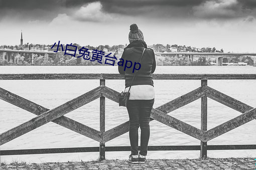 小白兔黄台app