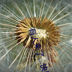 有人来了快出去