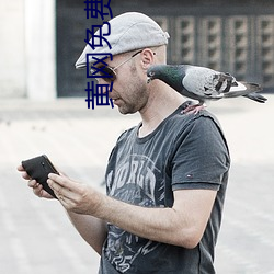 黄网免费看