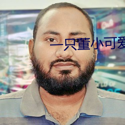一只董小可爱视频 （挺身）