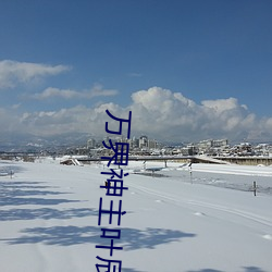 萬界神主葉辰小說