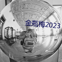 金瓶梅(梅)2023