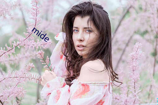 mide （百顺百依）