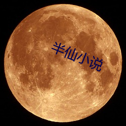 半仙小说 （任其自然）