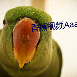 香(香)蕉视频Aaa