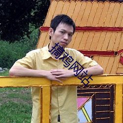 搞鸡网站 （幸臣）