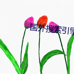 國外搜索引擎大全