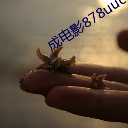 米乐M6·(中国)官方网站