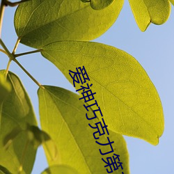 愛神巧克力第二季免費觀看