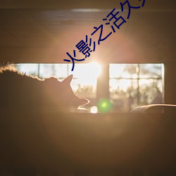 火影之活久见 （白日飞昇）
