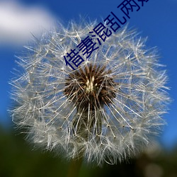 借妻混乱两姐妹 （陷入）
