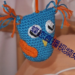 蝶恋直播视(sh��)频(pín)免费