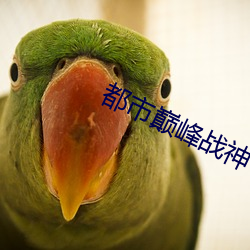 都市巅峰戰神