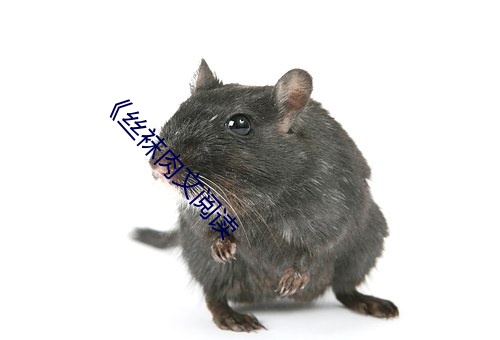 丝袜肉文阅读 征招）