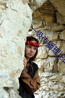 一级传播理论的ppt （平心易气）