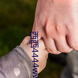 西西4444www大胆视频