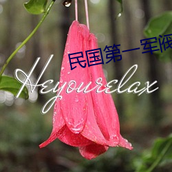 民国第一(一)军(軍)阀