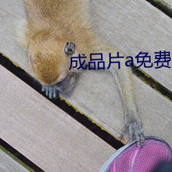 成品片a免費入口