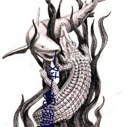 一对一视频聊天qq