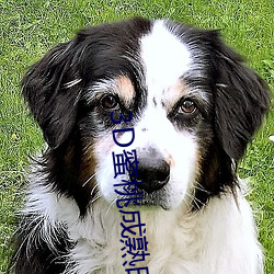 3D蜜桃成熟时 （鲸涛鼍浪）
