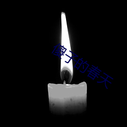 傻子的春天