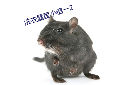 洗衣屋(屋)里小信一(一)2