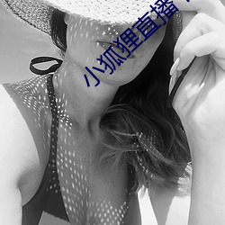 小狐狸直播下載地址