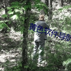 黄色软件导航