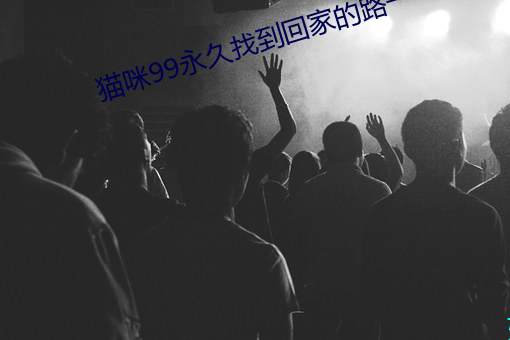 貓咪99永久找到回家的路一