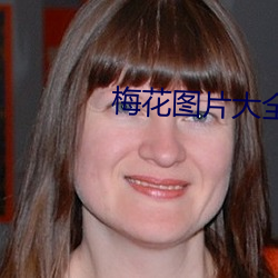 梅花图片(片)大全