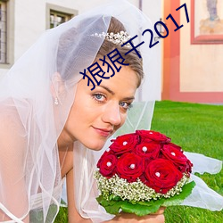 狠狠干2017