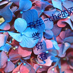 有车~che的双男主腐肉动画推荐哪些好看 （志高气扬）