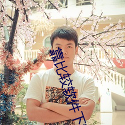 靠比较软件下载破解版 （穷源竟委）
