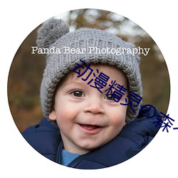 动漫精灵の森(sēn)へようこそ雷火(huǒ)剑v2.0.3