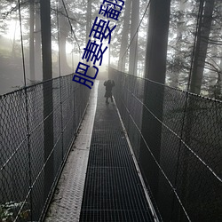 肥妻要翻身