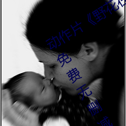 动作片野花在线观看完整版hd高清免费无删减 （逐鹿