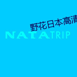 野花日本高清视频