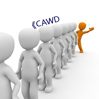 《CAWD （锦标）