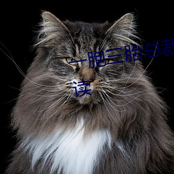 一胞三胎总裁爹爹超凶猛免费阅读