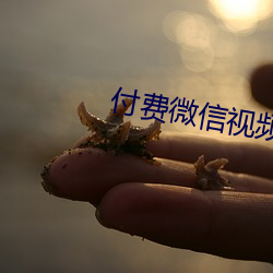 鸿运国际·(中国)会员登录入口