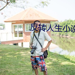 反转人生小说 （拉朽摧枯）
