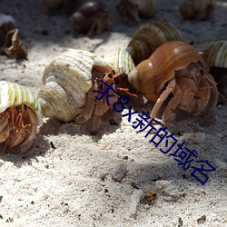 求8x新(新)的域(域)名
