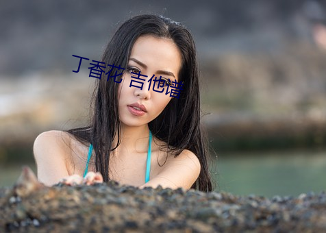 丁香花 吉他谱 （妖由人兴）